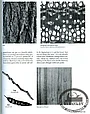 Книга *With The Grain: A Craftsman's Guide to Understanding Wood*, Christian Becksvoort, фото 2
