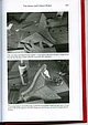 Книга *The Joiner and Cabinet Maker*, Chris Schwarz & Joel Moskowitz, фото 4