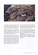 Книга *Reflexbogen, Geschichte und Herstellung*, , фото 3