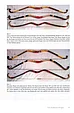 Книга *Reflexbogen, Geschichte und Herstellung*, , фото 4