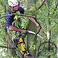 Пила Silky Sugoi 360мм, 6.5зубьев/30мм, в чехле, фото 4
